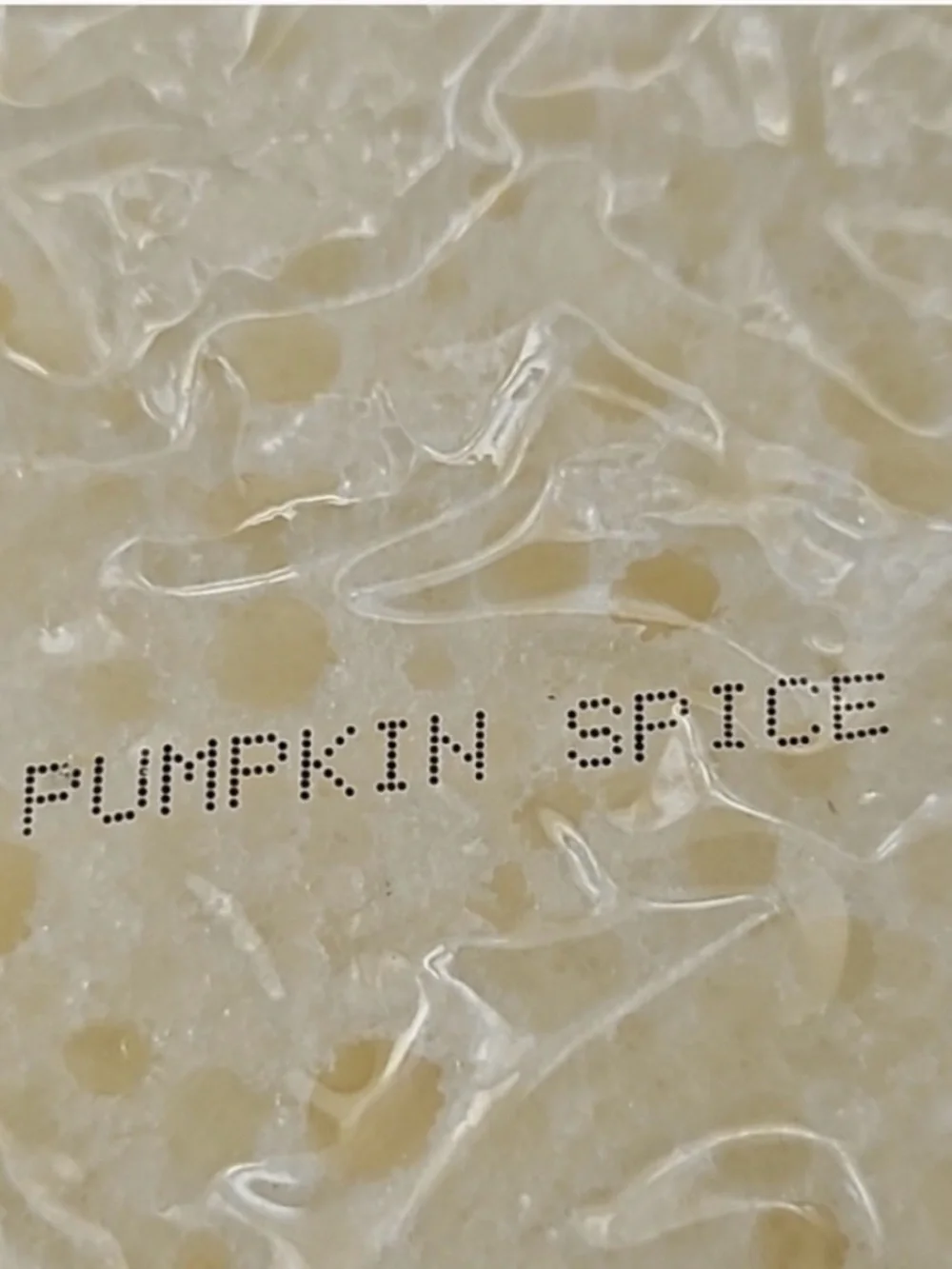 Spongelle Beach Grass and Pumpkin Spice Body Wash Infused Buffers NIP